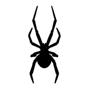 SUPERSTAR - Skabelon - Black Widow Spider (2-pack)